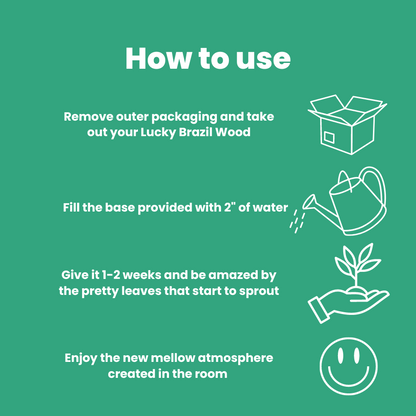 Lucky Brazil Wood